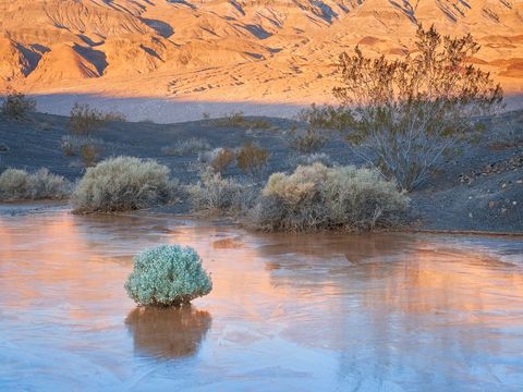 WORLD REGIONS & COUNTRIES, North America, United States of America, California, Death Valley National Park, Death Valley, CATEGORIES...