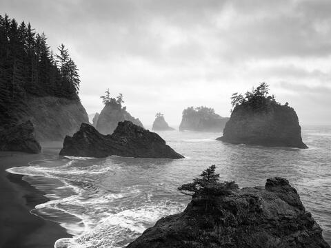 WORLD REGIONS & COUNTRIES, North America, United States of America, Oregon, environment, scenery, land, coast, coastal, coastline...
