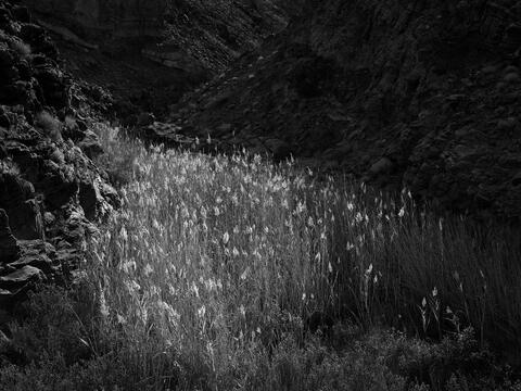 North America, United States of America, America, U.S., United States, US, USA, California, Death Valley National Park, Death...