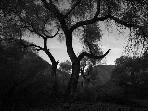 North America, United States of America, America, U.S., United States, US, USA, California, Death Valley National Park, Death...