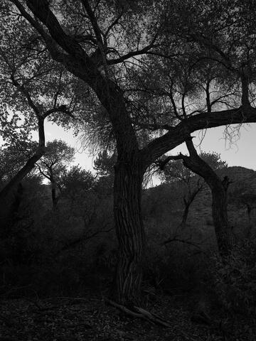 North America, United States of America, America, U.S., United States, US, USA, California, Death Valley National Park, Death...