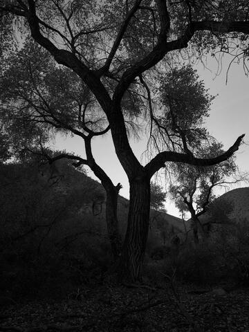 North America, United States of America, America, U.S., United States, US, USA, California, Death Valley National Park, Death...