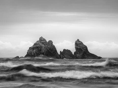 North America, United States of America, America, U.S., United States, US, USA, Oregon, Bandon, ecology, ecosystem, environment...