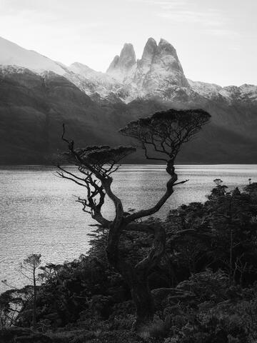 South America, Chile, Patagonia, Kawésqar National Park
