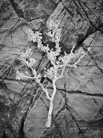 Death Valley National Park, Death Valley, California