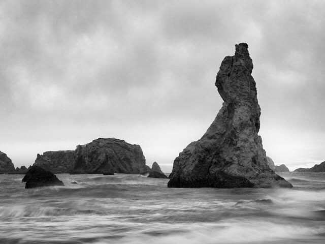 North America, United States of America, America, U.S., United States, US, USA, Oregon, Bandon, ecology, ecosystem, environment...