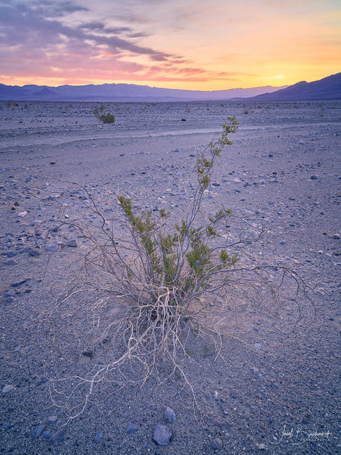 Death Valley National Park, Death Valley, California