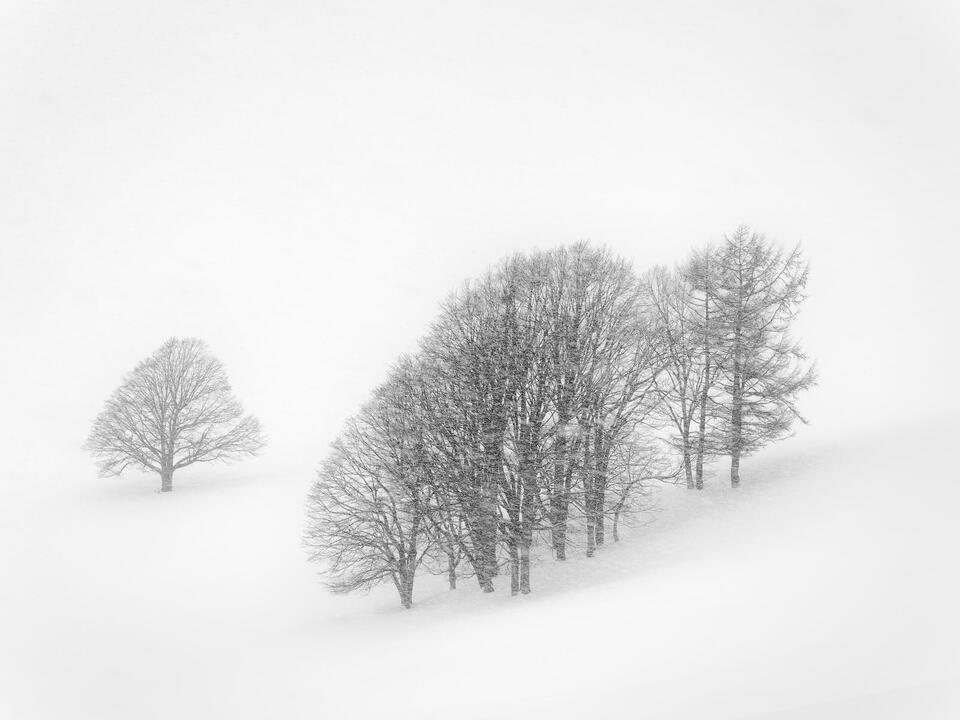 Hokkaido